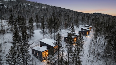 Exterior. Scandinavian Chalet and sauna in Lutsen - Grey