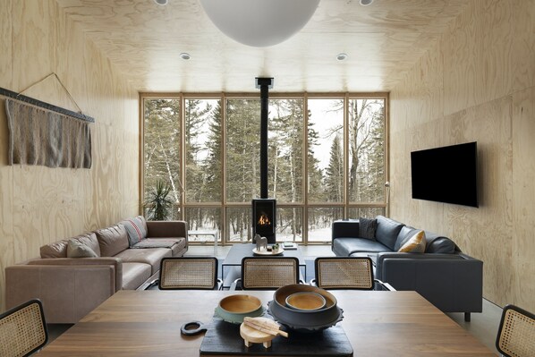 TV connectée, cheminée