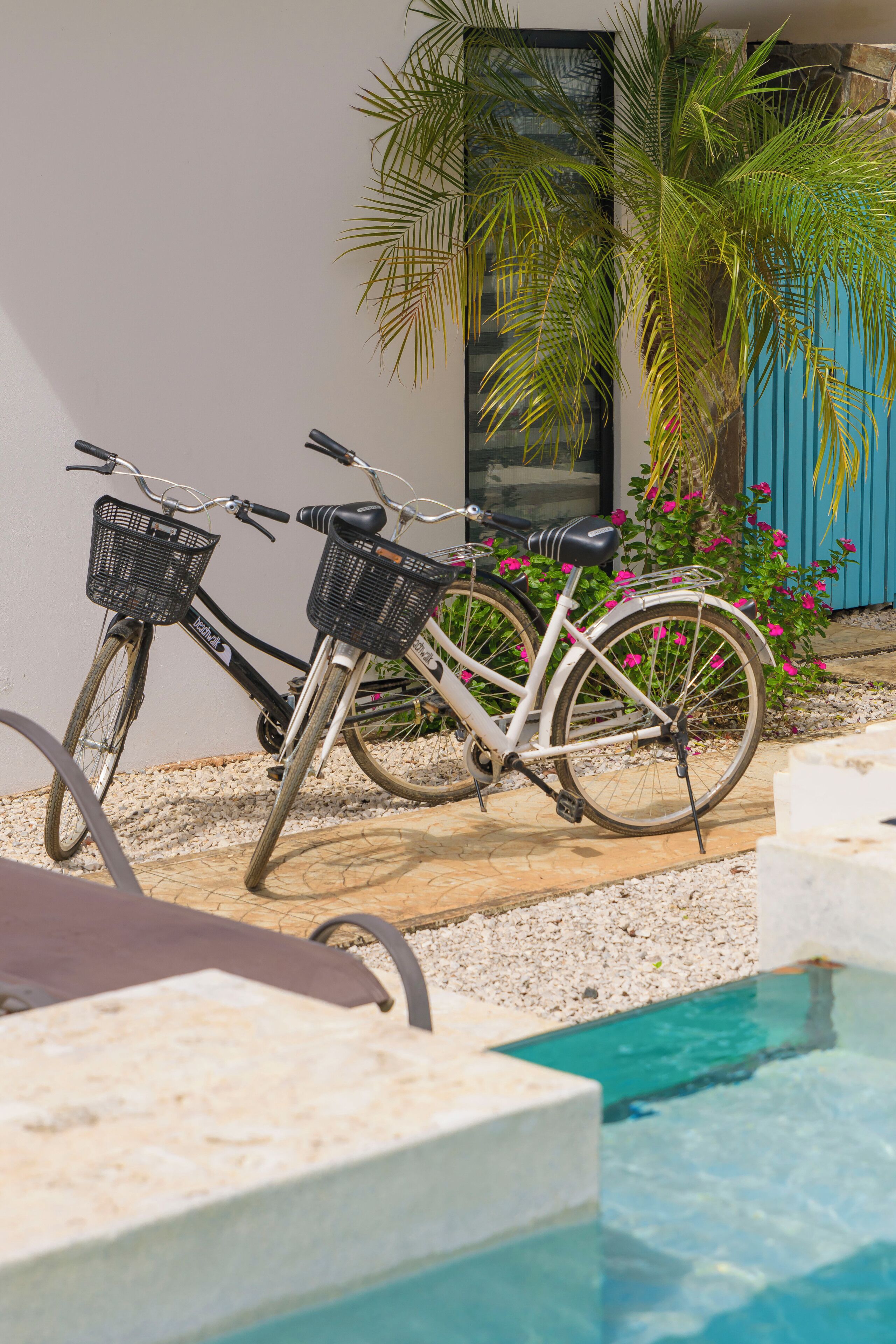 Zona de piscina con dos bicicletas, una palmera y un edificio con puerta azul.