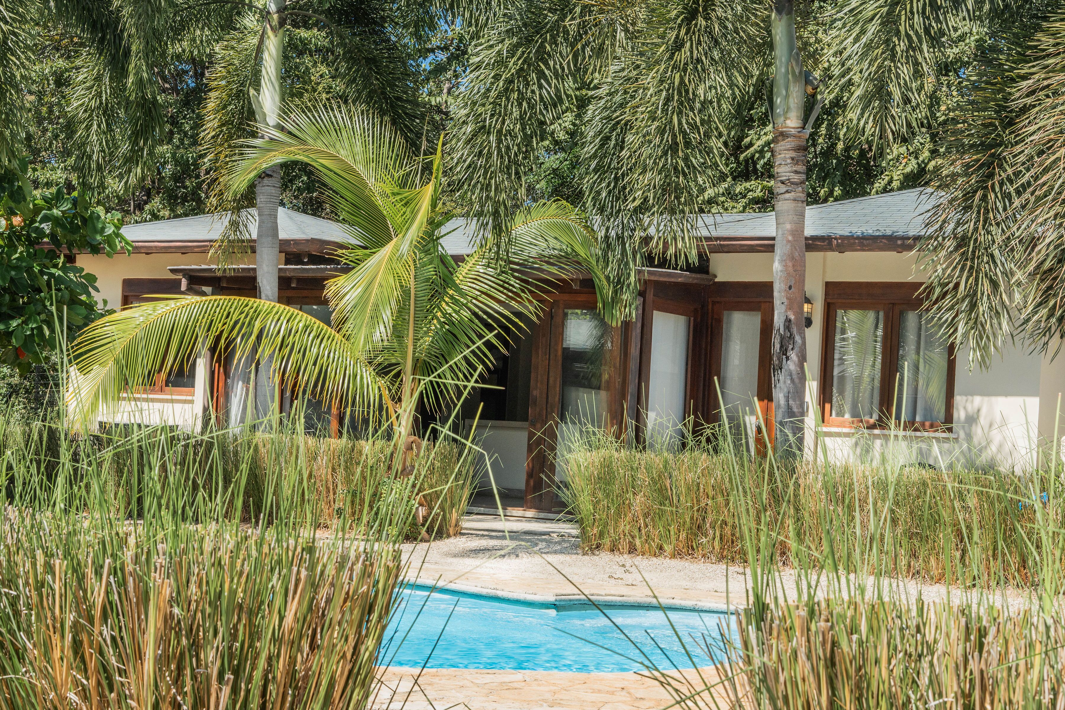 A pool surrounded by tall grass and palm trees, leading to a building with a tiled roof and large windows.