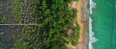 An aerial view of a beach with dense greenery, a wooden walkway, and a sandy shore.