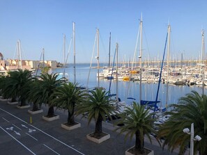 A marina with numerous sailboats docked, palm trees lining the walkway, and a clear view of the sea.