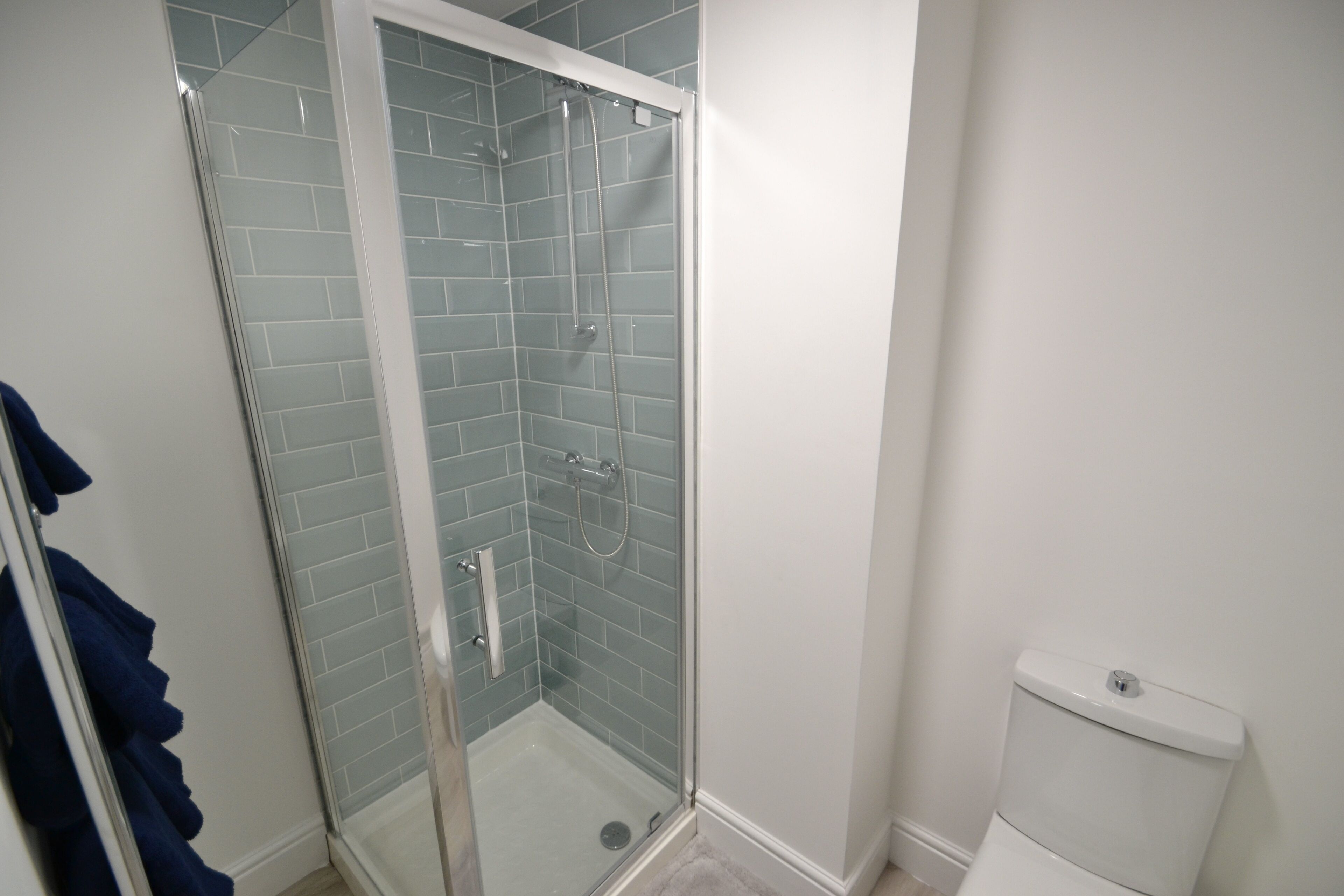 A glass-enclosed shower with a white toilet and a towel rack.
