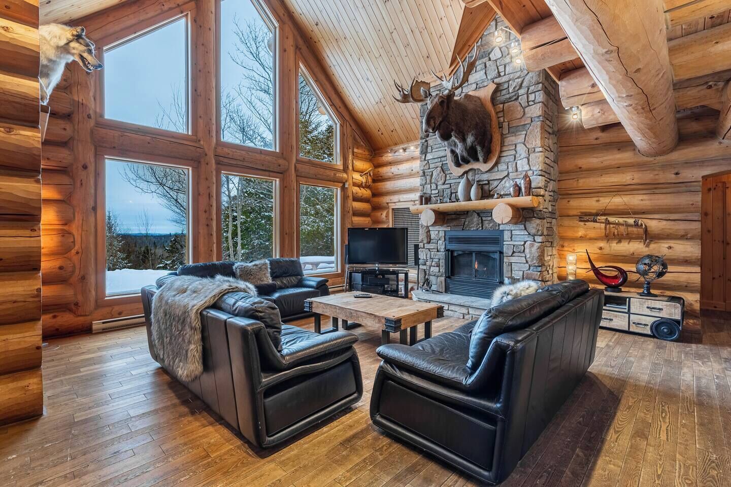 Fernseher, Kamin, Stereoanlage