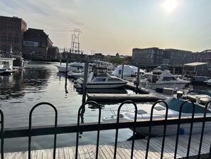 Een jachthaven met aangemeerde boten, houten steigers en gebouwen op de achtergrond.