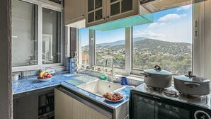 Una cocina con vistas a un paisaje montañoso, un lavamanos, una estufa y un escurreplatos.