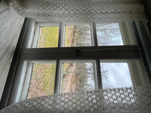 Cozy house next to magical forest