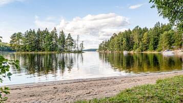 Vissen