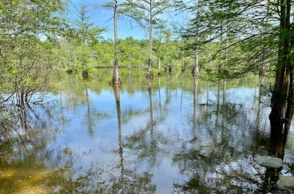 A calm water body surrounded by trees. - Drake Ln Hunting Club (Stuttgart)