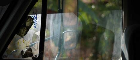A car's interior with a window reflecting a person and some greenery outside.