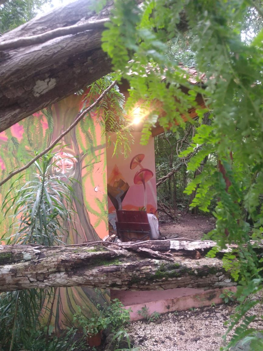 Ein rustikaler Außenbereich mit einer Holzbank, einer Wand mit Wandgemälde und dichter Vegetation.