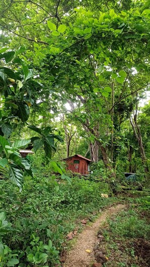 Exterior - Pacha Mama BIO (Tamarindo)