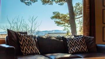 Televisie, een open haard en een dvd-speler