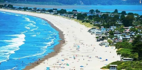 Modern Garden View Home w/ free parking, unique art & furniture: a Superhost