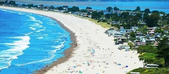 Modern Garden View Home w/ free parking, unique art & furniture: a Superhost