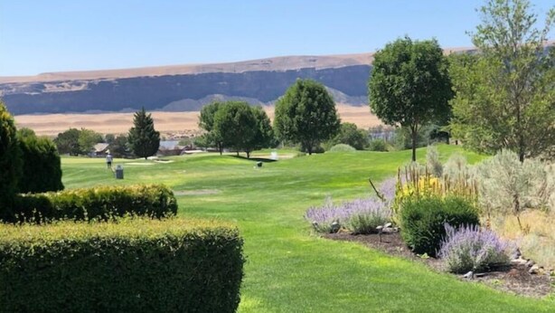 Um campo de golfe bem cuidado com relvados impecáveis, diversos arbustos e árvores.