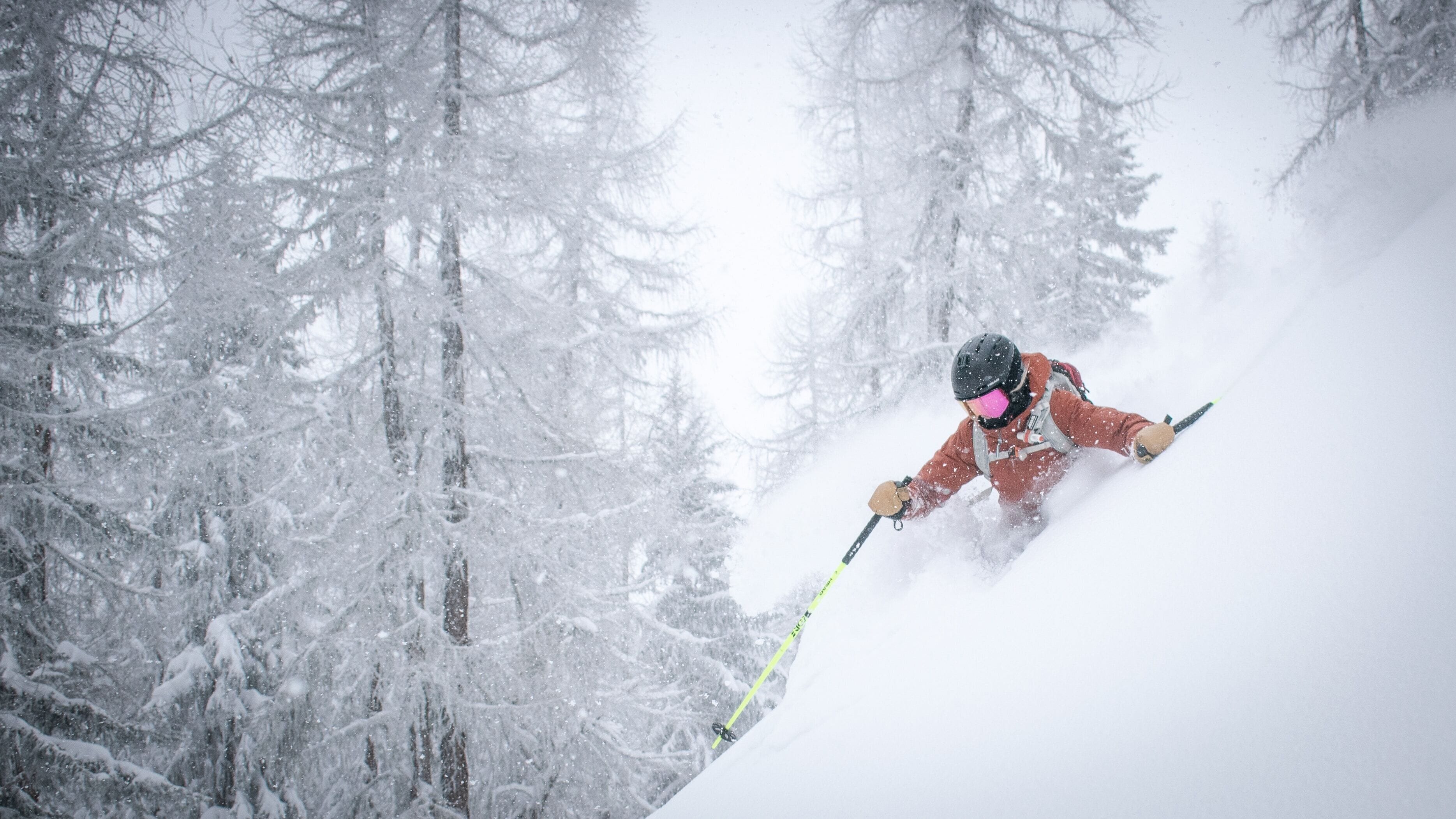A skier in motion, surrounded by snow-covered trees.