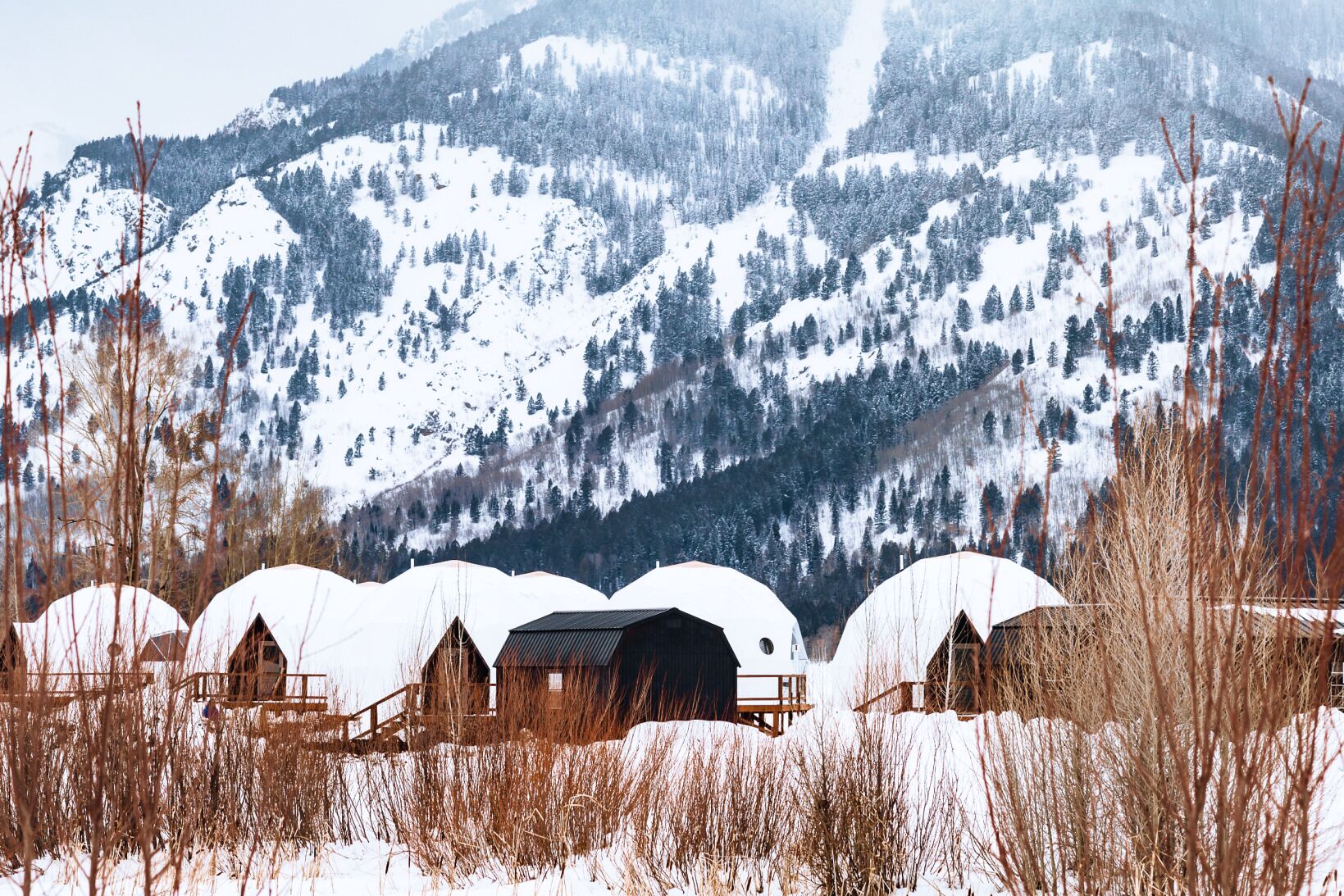 Una hilera de cabañas con forma de cúpula y terrazas de madera, con montañas nevadas y árboles de fondo.