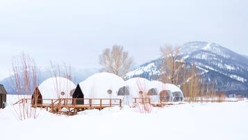 A series of geodesic dome structures in a snowy landscape with mountains in the background.