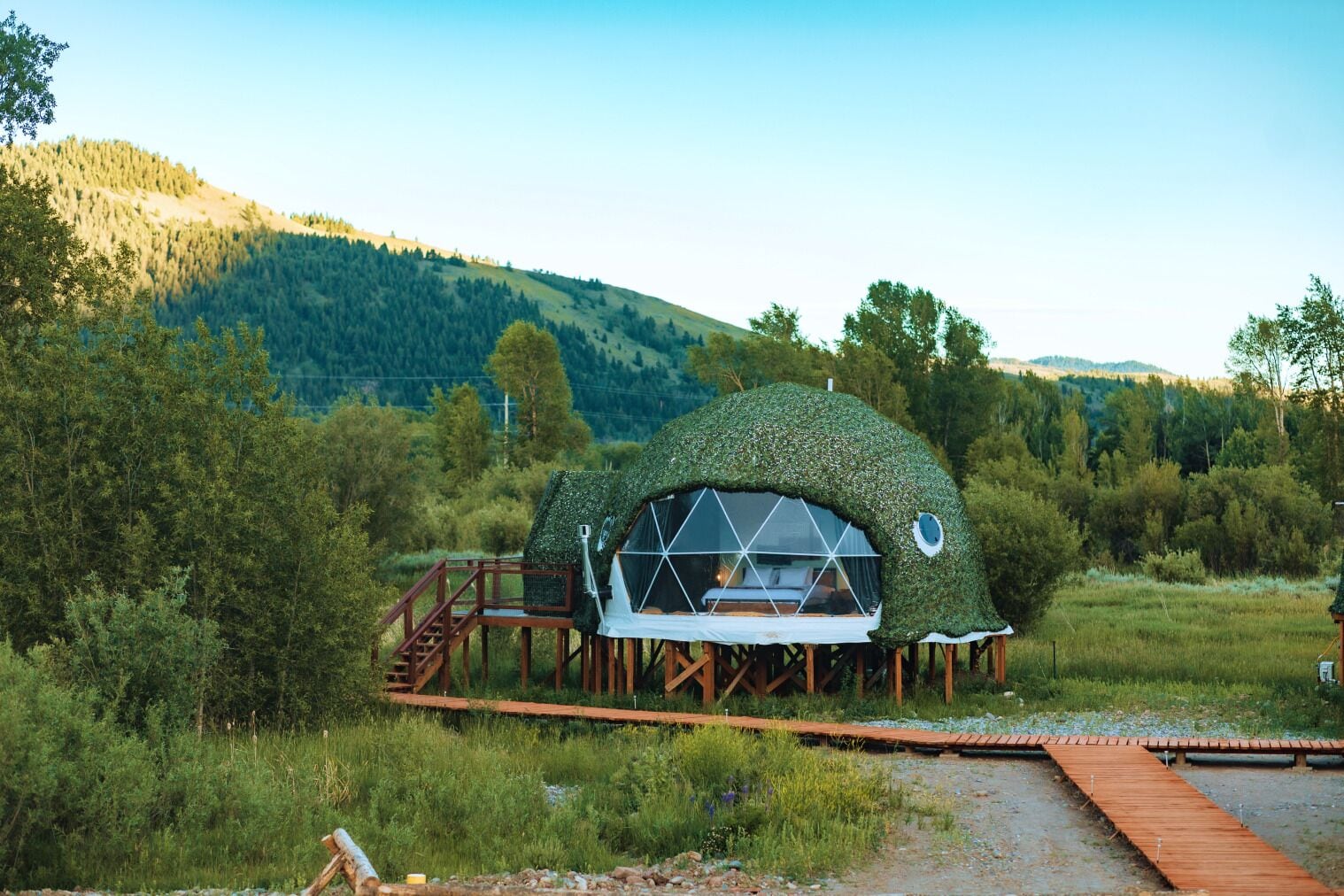 A geodesic dome structure with a transparent floor, surrounded by a forested hillside.