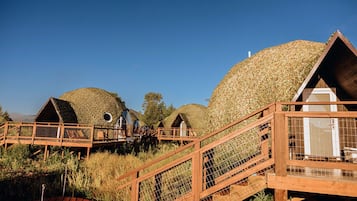 Premium bedding, pillowtop beds, soundproofing, free WiFi