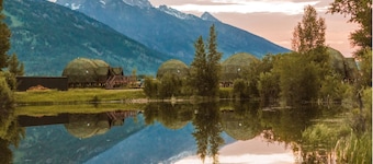 Tammah Jackson Hole