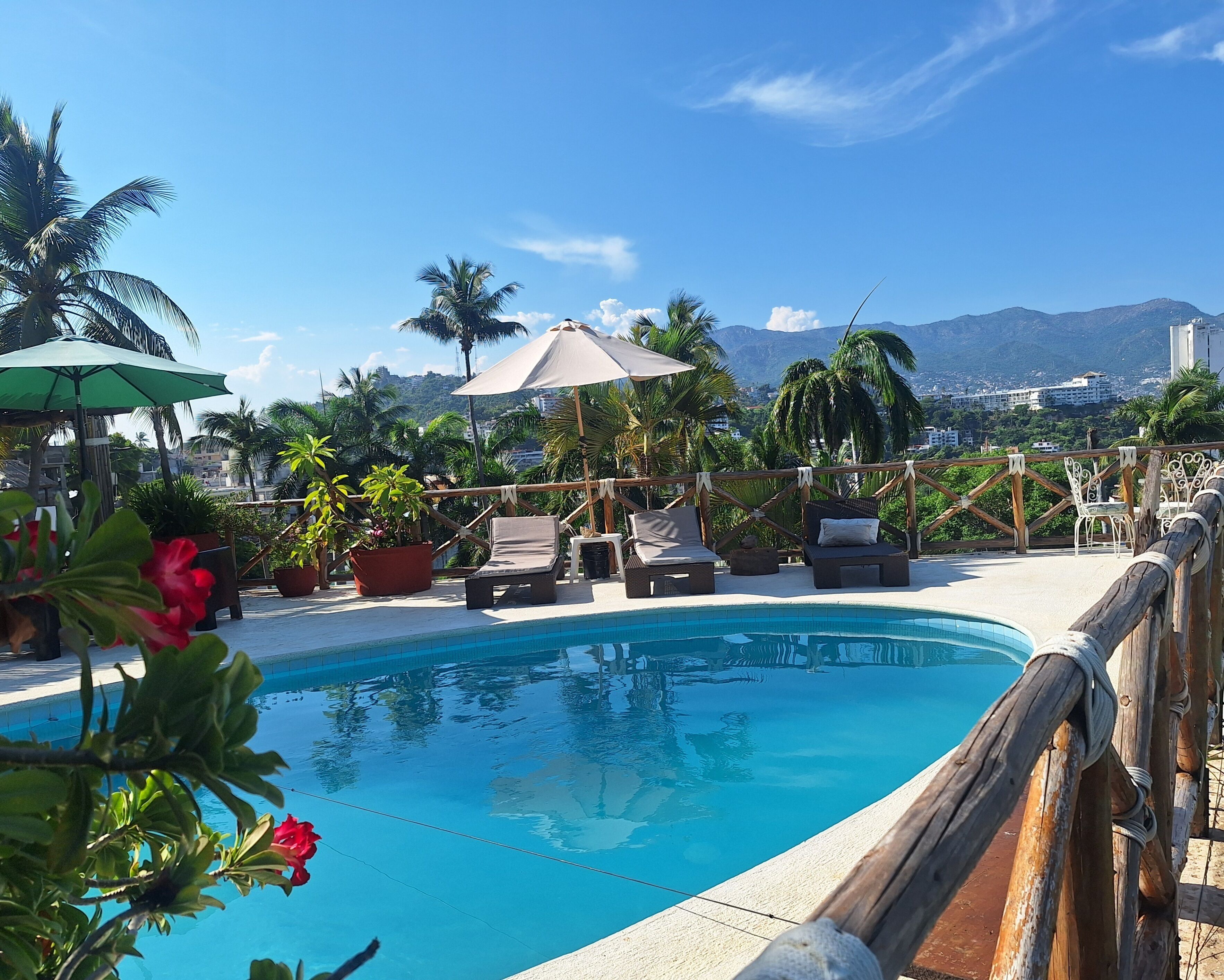 A poolside area with lounge chairs, umbrellas, and potted plants.