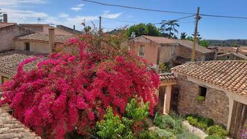A traditional village with stone buildings, a prominent pink bougainvillea tree, and a stone pathway.