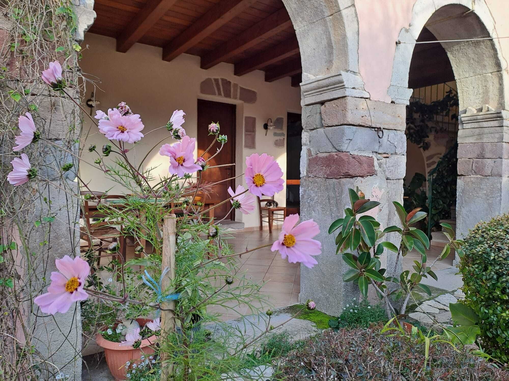 A courtyard with stone arches, a wooden table, and potted plants.