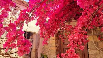 A stone building with a wooden door, surrounded by vibrant pink bougainvillea flowers.