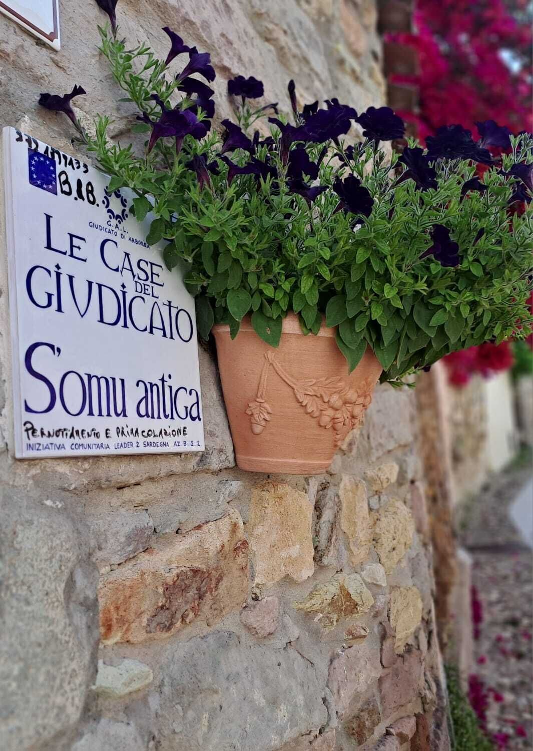 Una maceta de terracota con flores moradas sobre una pared de piedra, junto a un cartel con texto en italiano.