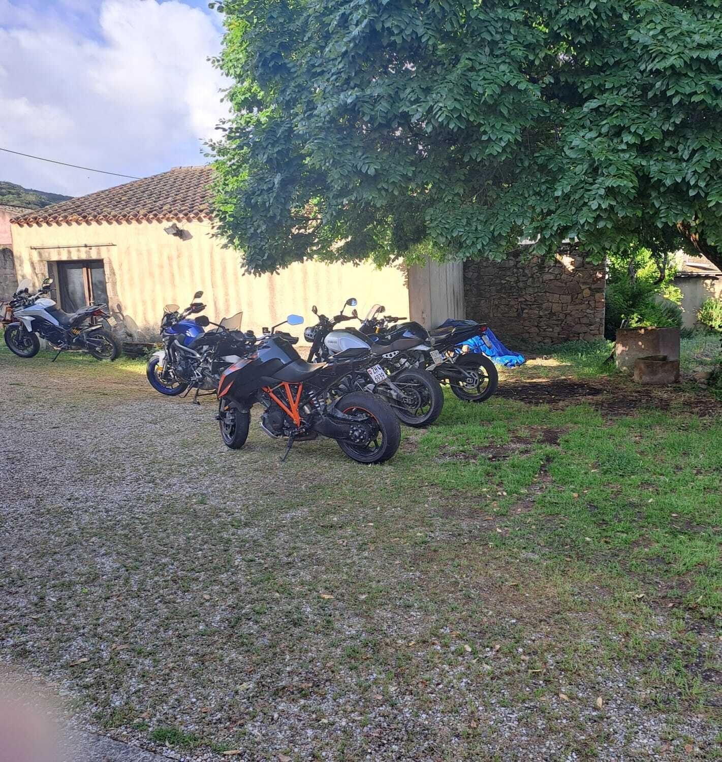 A gravel driveway with several motorcycles parked under a large tree.
