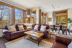 Fernseher, Kamin, Tischfußball, Tischtennisplatte