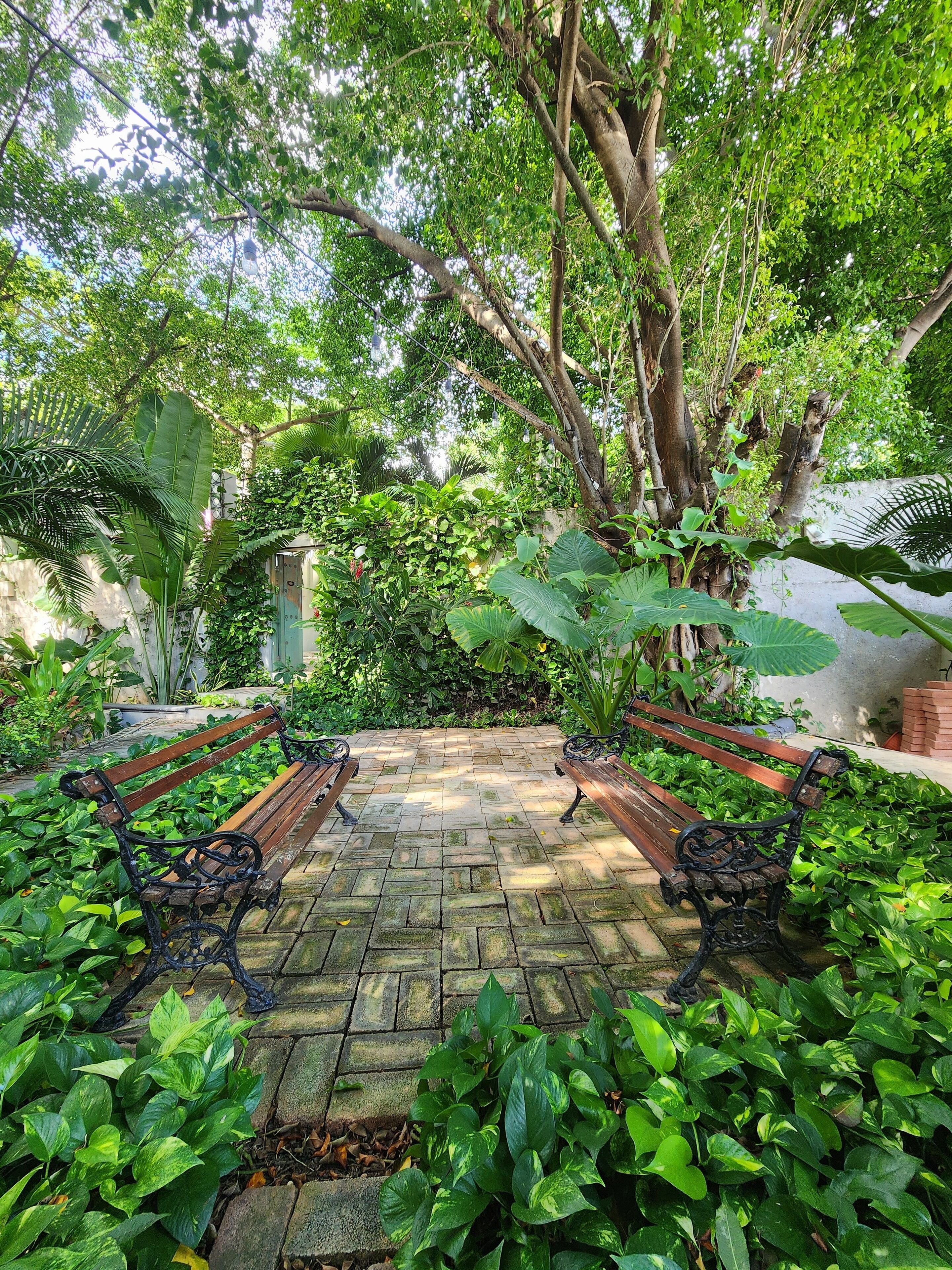 Un jardin avec une zone dallée et deux bancs en bois.
