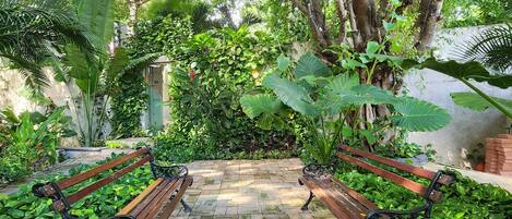 Un jardin avec une zone dallée et deux bancs en bois.