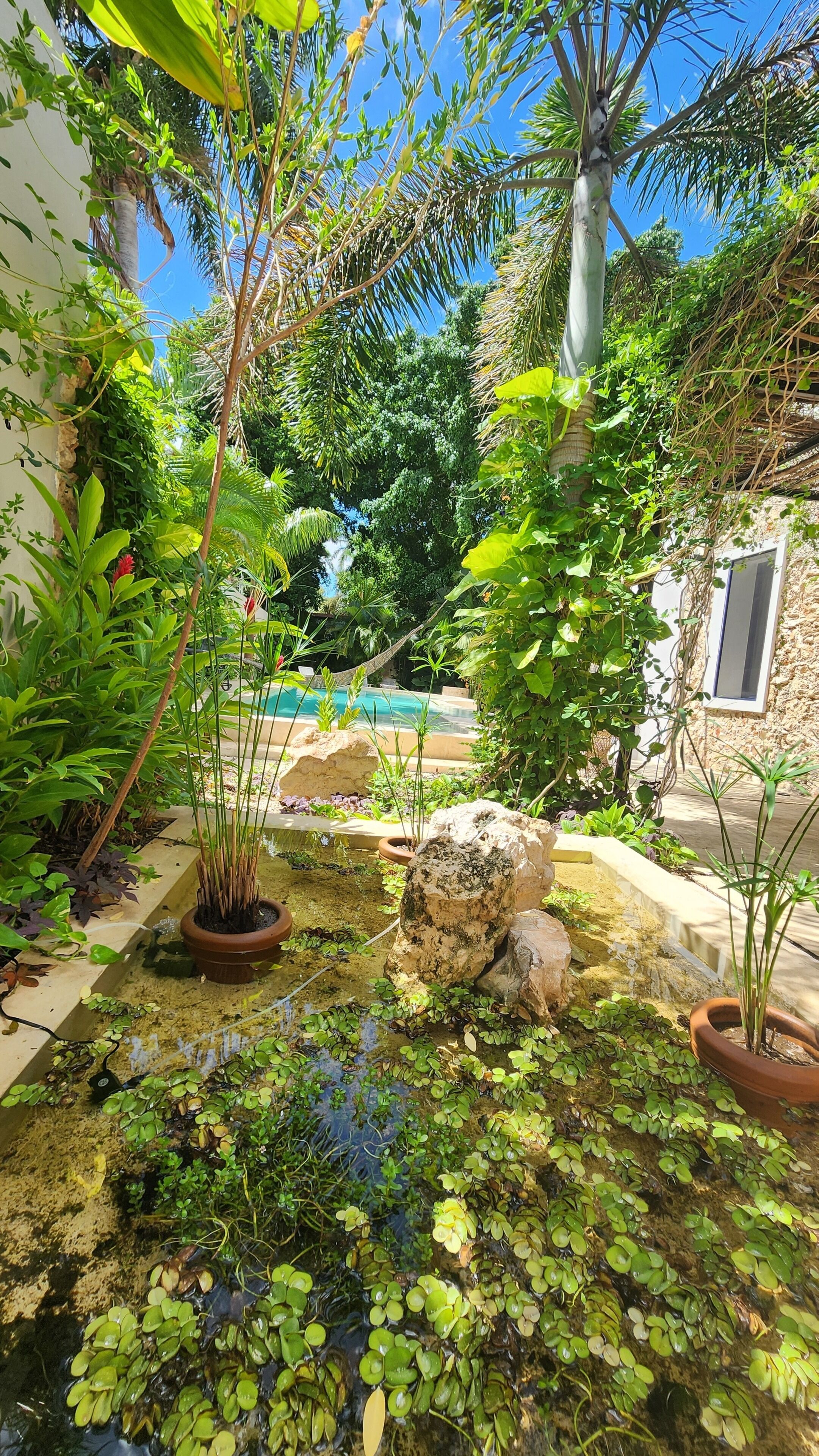 Foto - Casona Origen