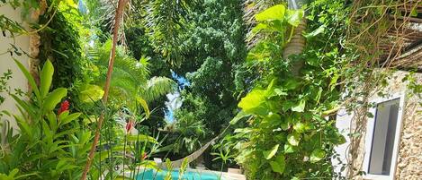 A lush garden with a small pond, potted plants, and a view of a pool in the background.