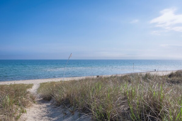 Playa en los alrededores 
