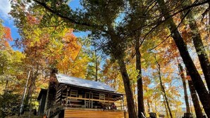 Eine rustikale Holzhütte mit Metallbedachung, umgeben von Bäumen im Herbstlaub.