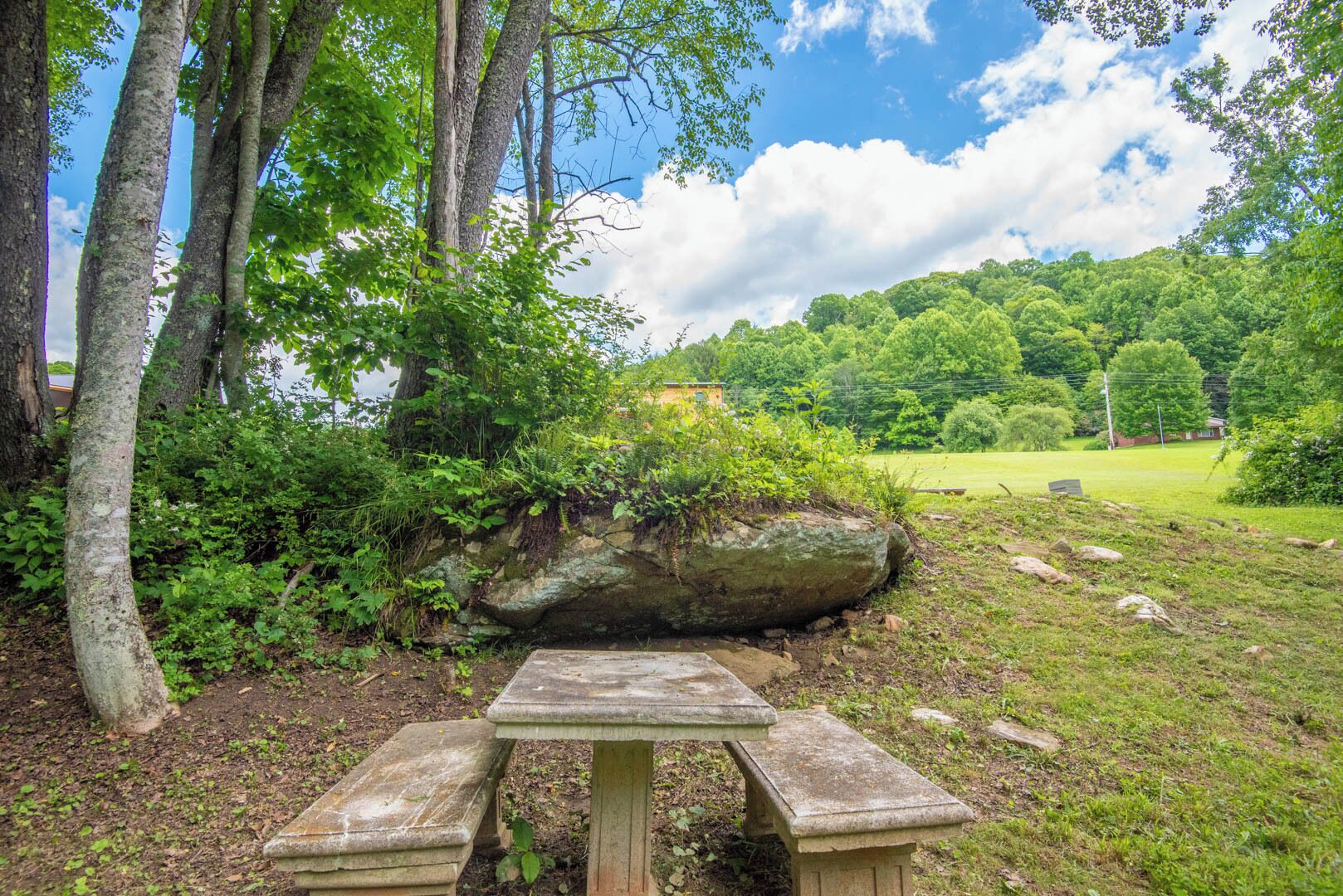 A picnic table in a park with trees and a grassy area in the background.