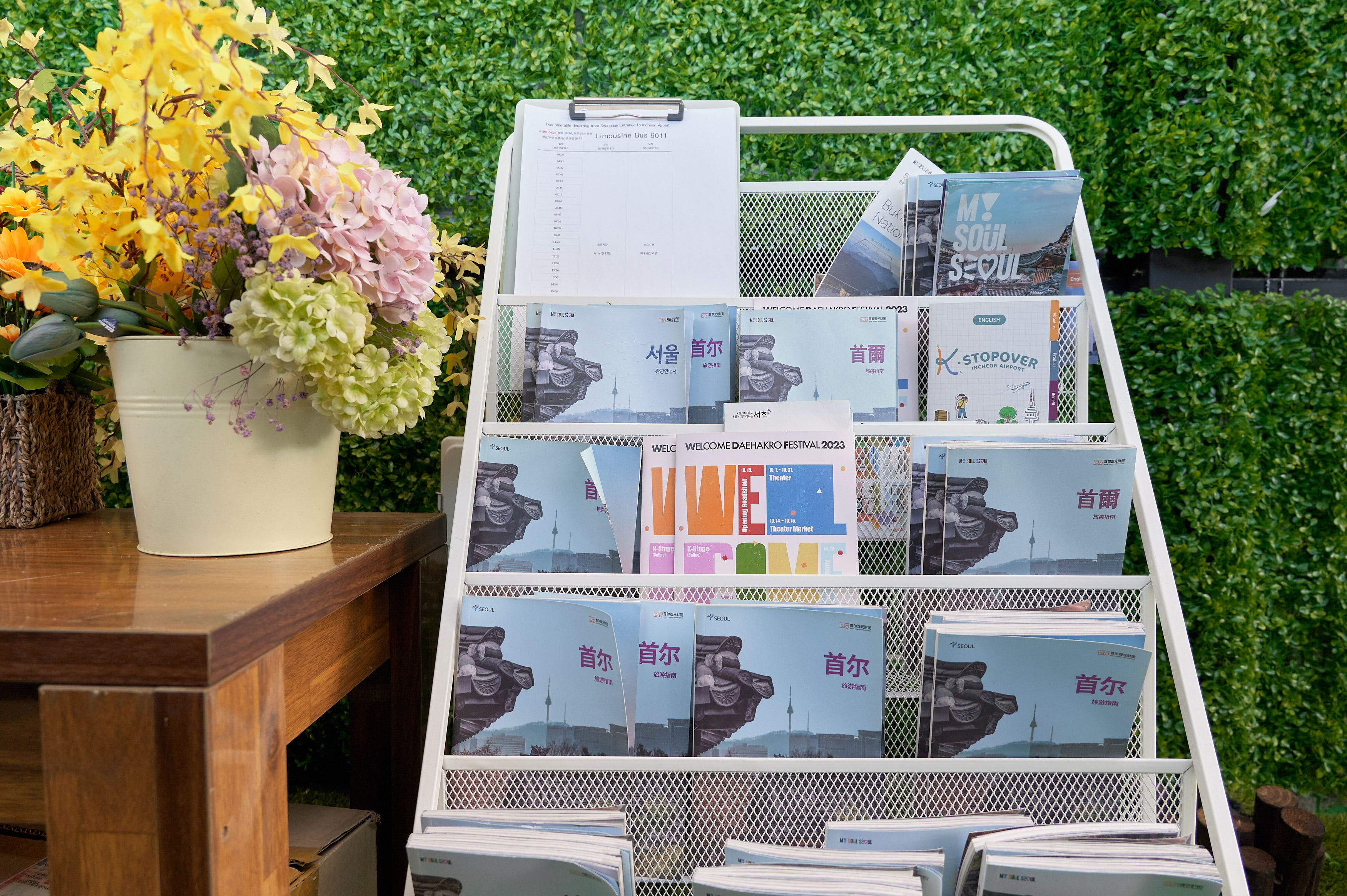 A display of travel brochures and a potted plant with yellow and pink flowers.