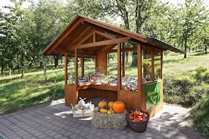 A wooden structure with a sloped roof, surrounded by grass and trees, featuring a display of fruits and vegetables.