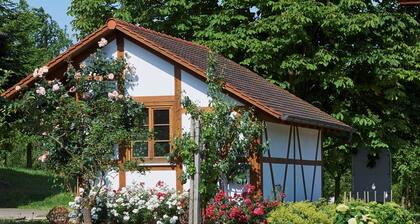 Appartement de vacances "Winzerhof Wörner" avec vue sur la montagne, jardin partagé et Wi-Fi