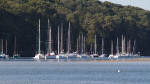 A marina with multiple sailboats docked, surrounded by a forested hillside. - Studio 'Villa Prat Bras - Sea View' with Shared Garden and Wi-Fi (Clohars-Carnoët)
