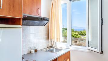 Fridge, oven, stovetop, cookware/dishes/utensils