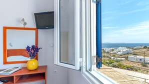 A room with a bed, a TV, a window with a view of buildings, and a vase with flowers.