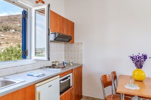Fridge, oven, stovetop, coffee/tea maker