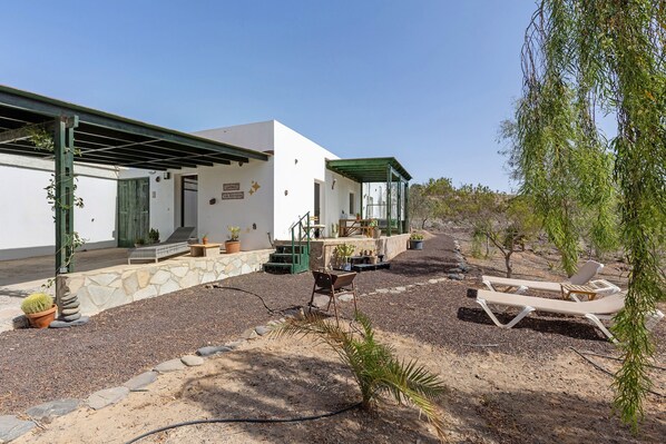 Un bâtiment blanc doté d’un patio couvert, d’un espace extérieur aménagé pour s’asseoir et de plantes en pot.