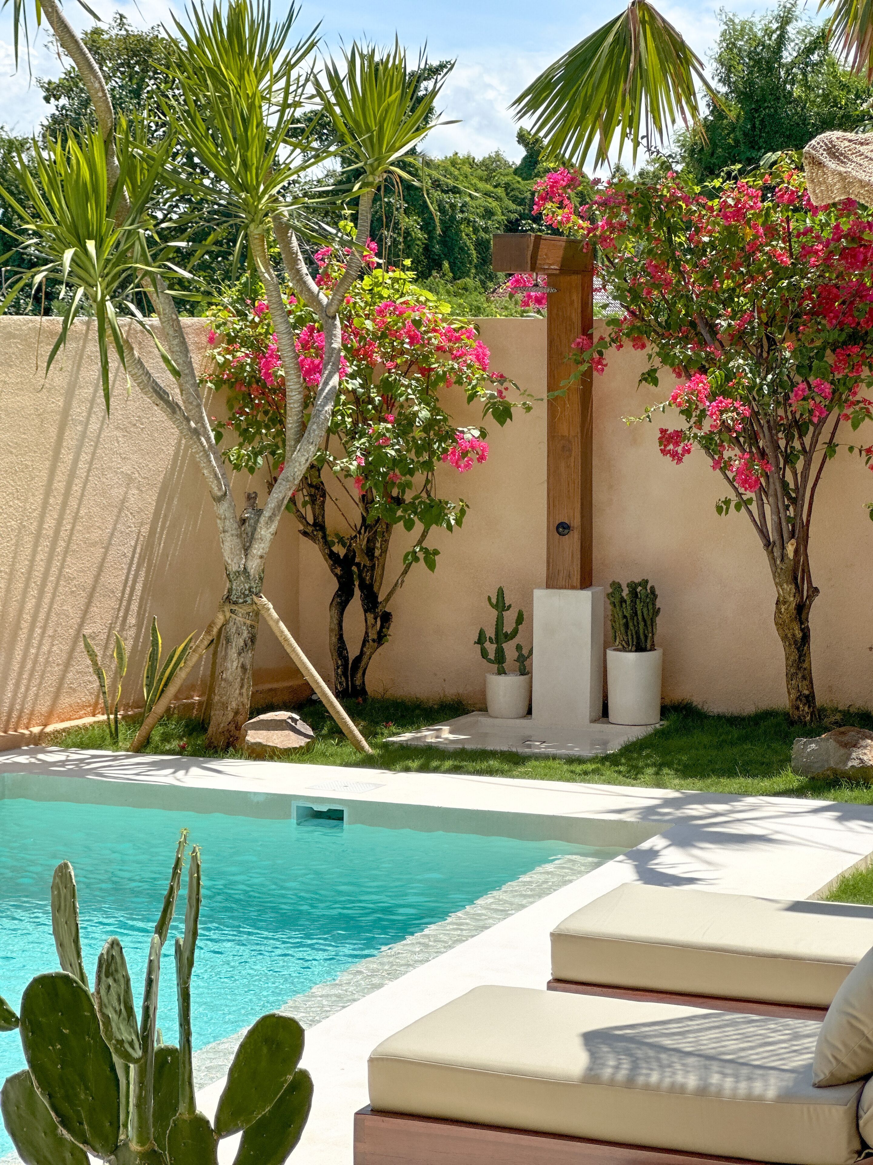 A pool area with a clear blue pool, surrounded by a low wall, with a cactus plant and pink flowering plants.