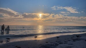 A beach scene with people and birds at sunset.